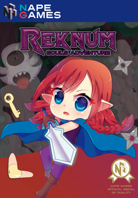 NES game REKNUM Souls Adventure (for Nape Games)